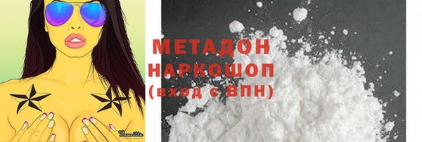 прущие грибы Аркадак