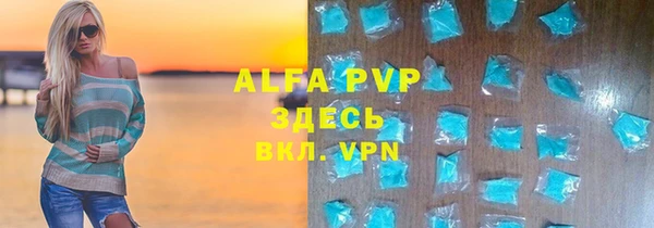 прущие грибы Аркадак