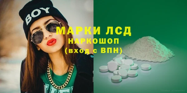 прущие грибы Аркадак