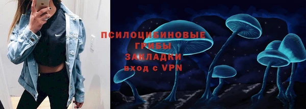 прущие грибы Аркадак