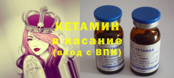 прущие грибы Аркадак