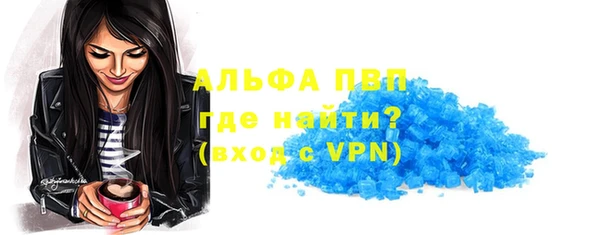 прущие грибы Аркадак