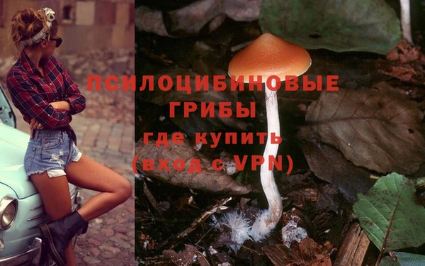 мяу мяу мука Армянск