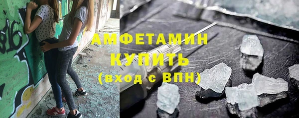 прущие грибы Аркадак