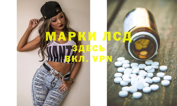 стаф Алзамай