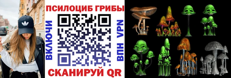 дарк нет официальный сайт  Могоча  Галлюциногенные грибы Psilocybine cubensis  закладка 